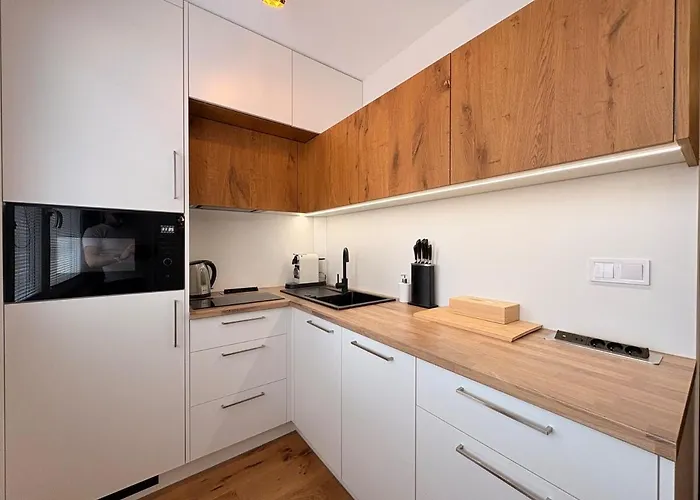 Harrachov Apartment 公寓 *