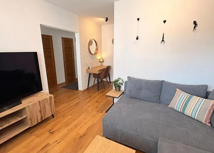 Harrachov Apartment 公寓 *