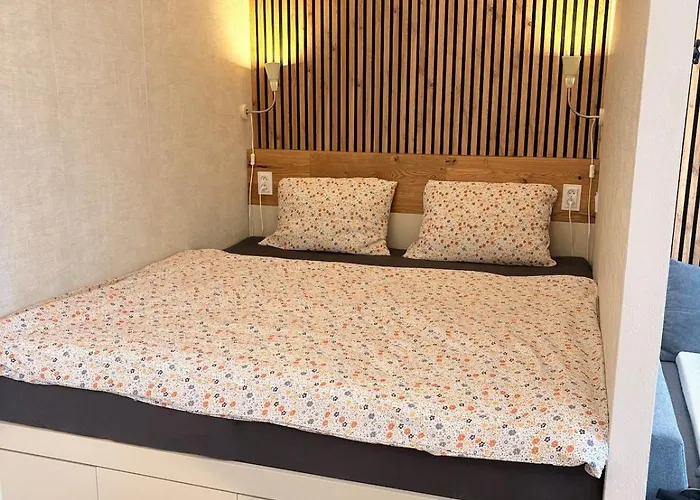 Harrachov Apartment 公寓 哈拉霍夫